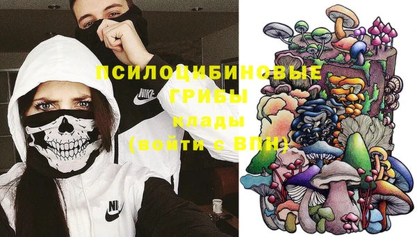 стафф Волоколамск