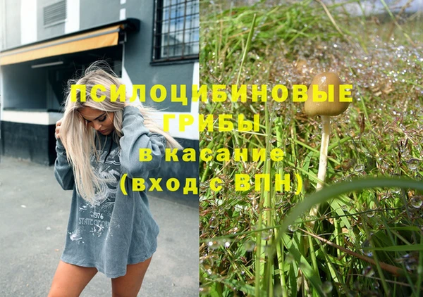стафф Волоколамск